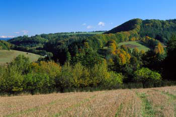 Lansperk landscape