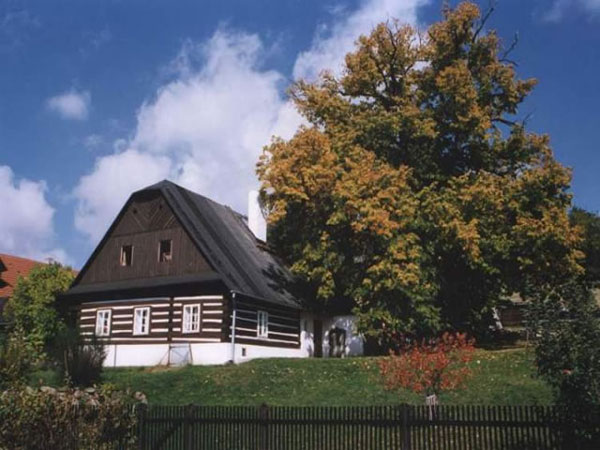 Singing Lime Tree, village Teleci