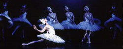 Swan Lake